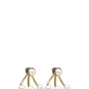 Cornelia Webb Pearled Spider Earring Small korvakorut