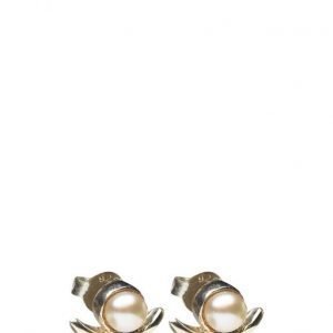 Cornelia Webb Refined Pearl Single Earring korvakorut