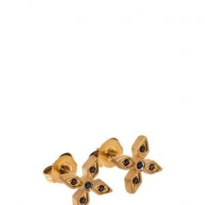 Edblad Windsor Studs korvakorut