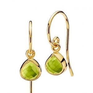 Izabel Camille Fame Earrings korvakorut