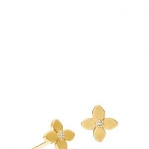 Izabel Camille Primrose Earrings korvakorut