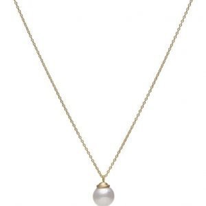 Jewlscph Pearly/Fwp kaulakoru