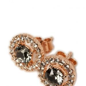 LILY AND ROSE Miss Miranda Earrings Black Diamond korvakorut