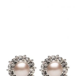 LILY AND ROSE Miss Sofia Pearl Earrings Powder Almond korvakorut