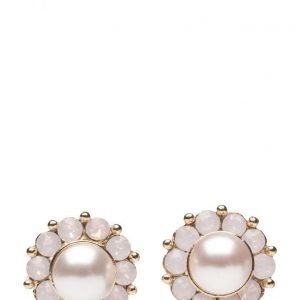 LILY AND ROSE Miss Sofia Pearl Earrings Rosaline korvakorut