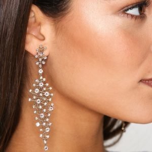 Lily And Rose Belle Earrings Korvakorut Champagne