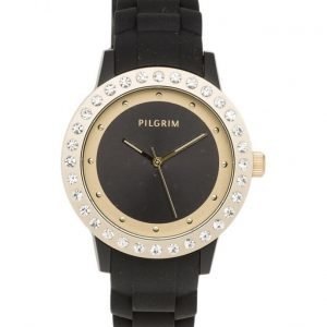 Pilgrim Watch kello