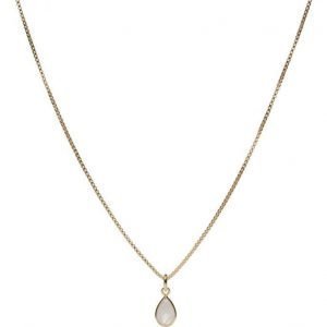 Syster P Beloved Chain Gold Moonstone kaulakoru