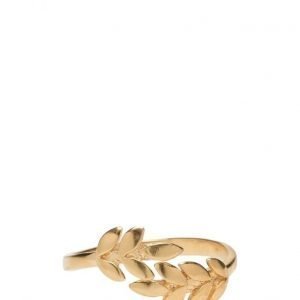 Syster P Cleo Ring Gold sormus