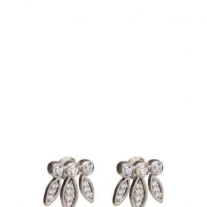 Zabel Jewellery Loulou korvakorut