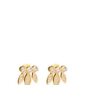 Zabel Jewellery Loulou korvakorut